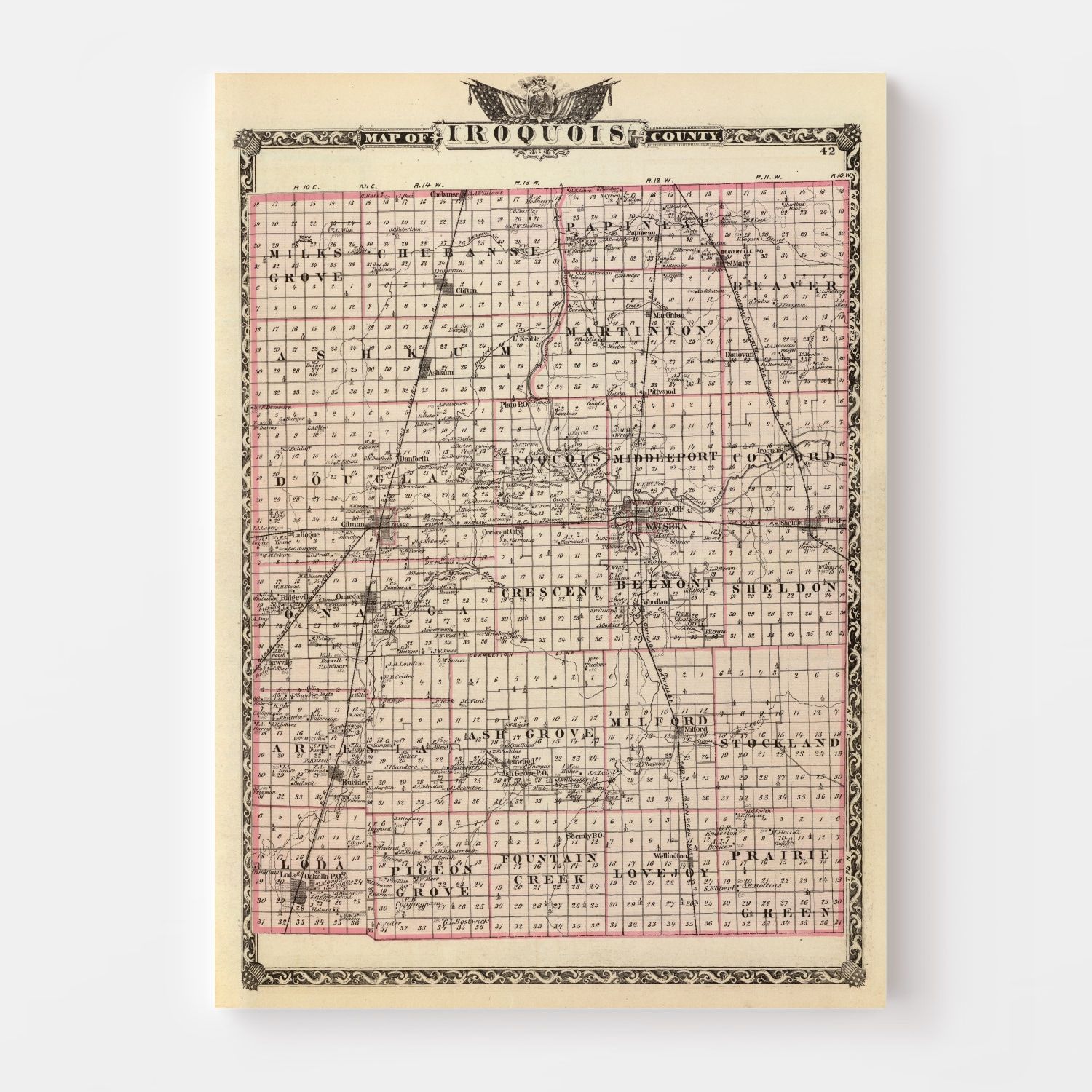 Vintage Map of Iroquois County, Illinois 1876