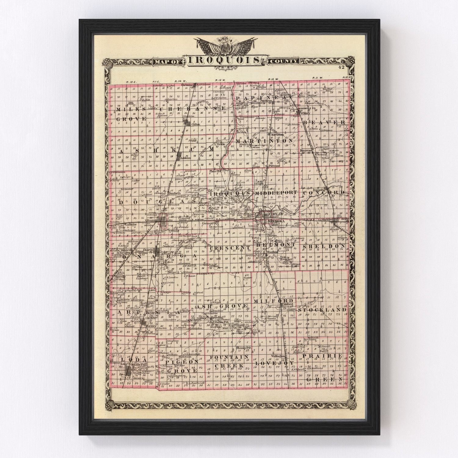 Vintage Map of Iroquois County, Illinois 1876