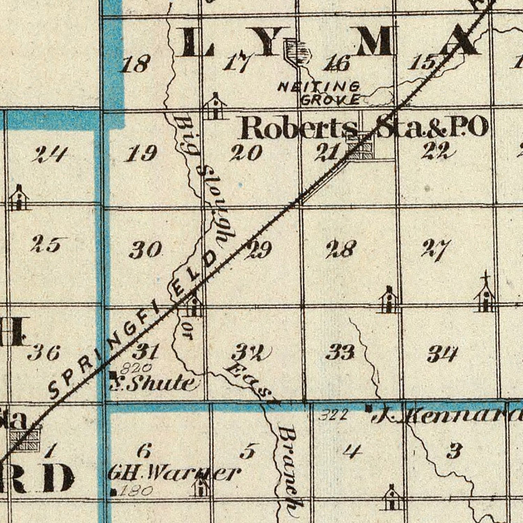 Vintage Map of Ford County, Illinois 1876