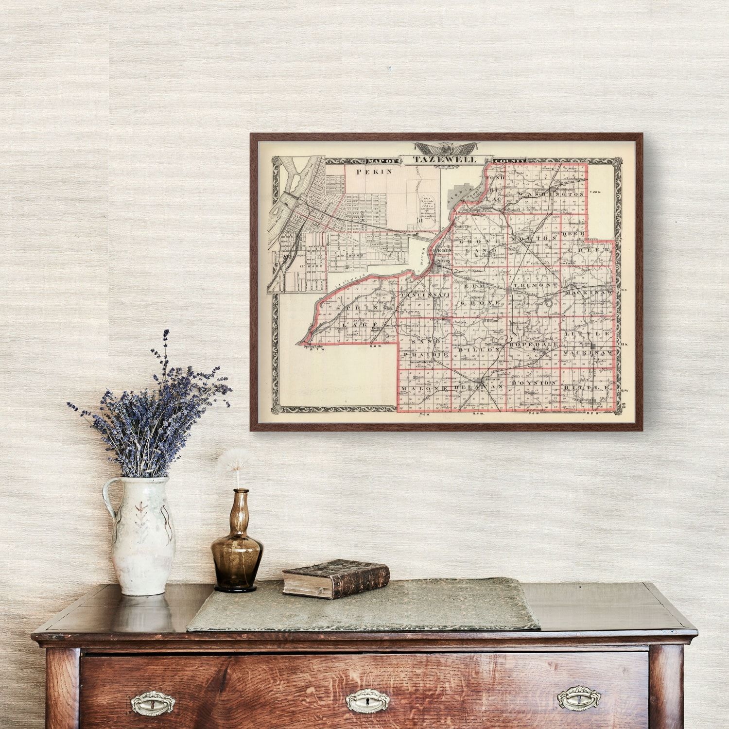 Vintage Map of Tazewell County, Illinois 1876