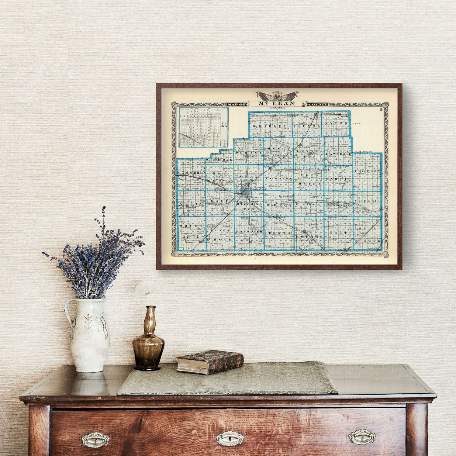 Vintage Map of McLean County, Illinois 1876