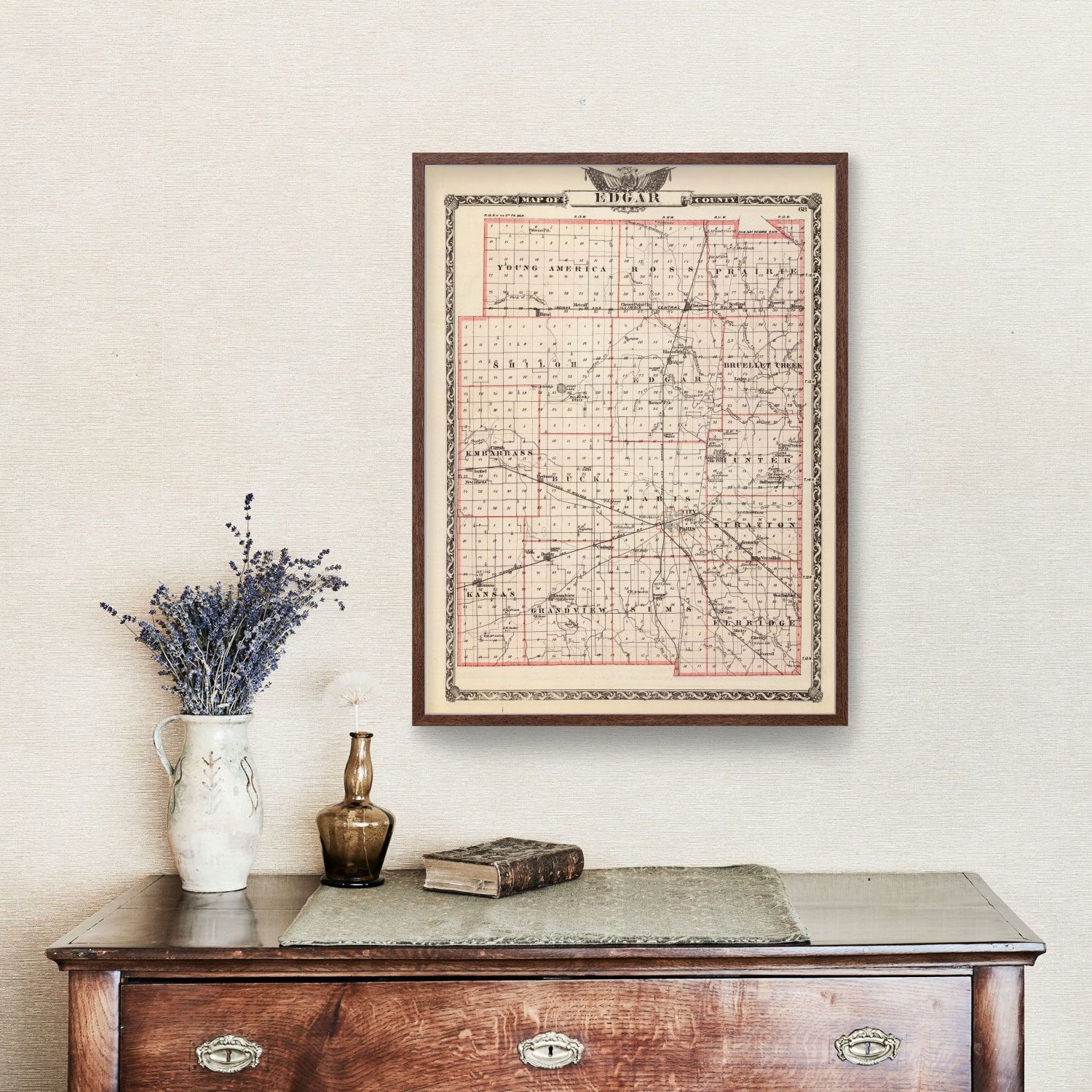Vintage Map of Edgar County, Illinois 1876