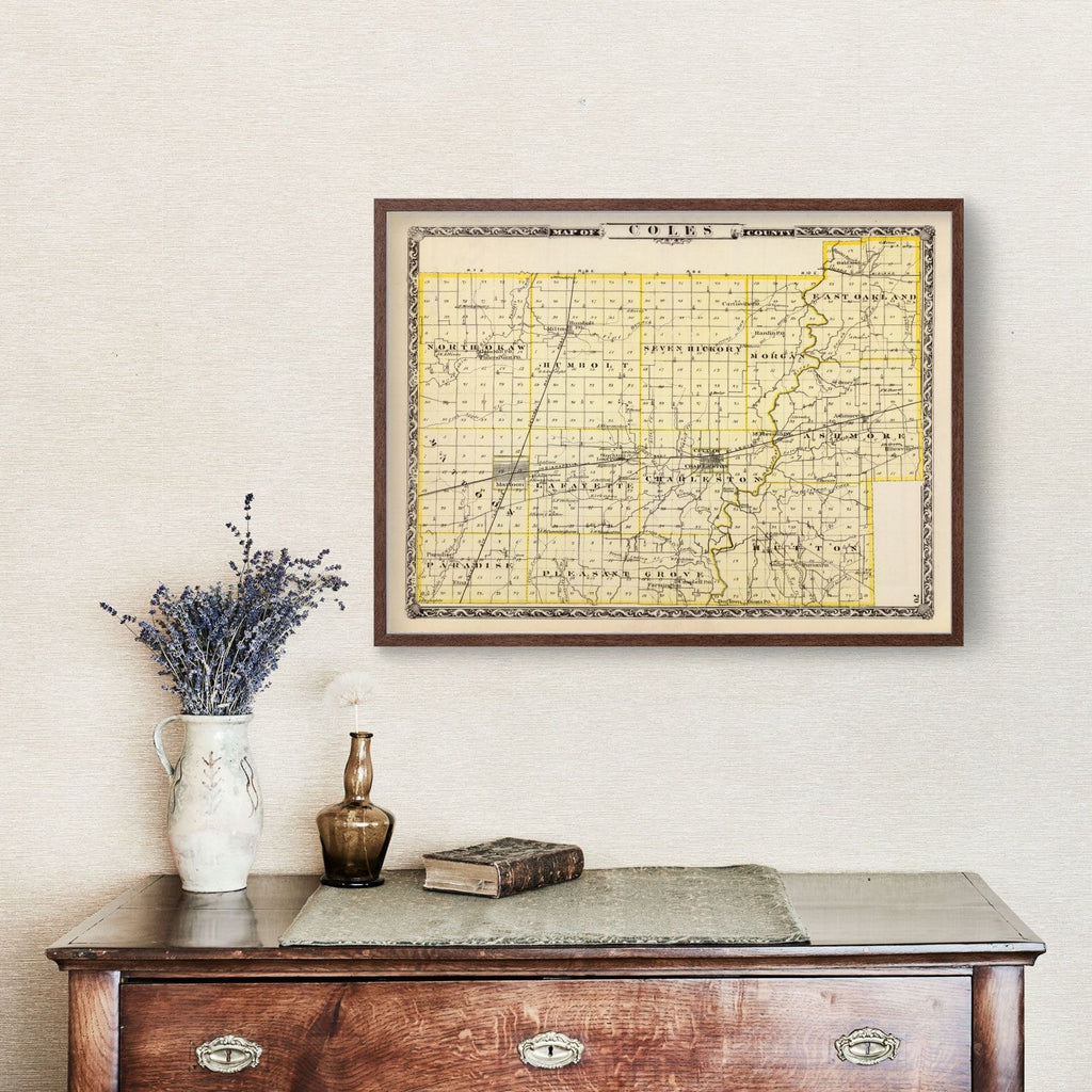 Vintage Map of Coles County, Illinois 1876