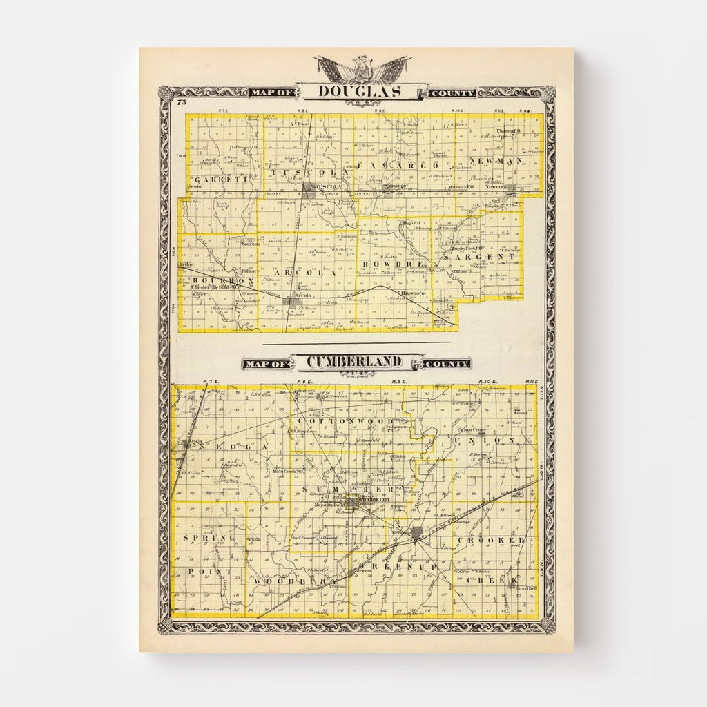 Vintage Map of Douglas County, Illinois 1876