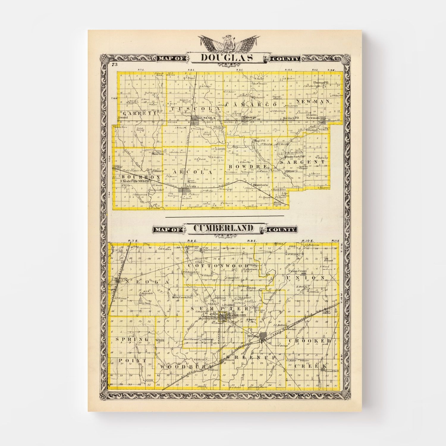 Vintage Map of Douglas County, Illinois 1876