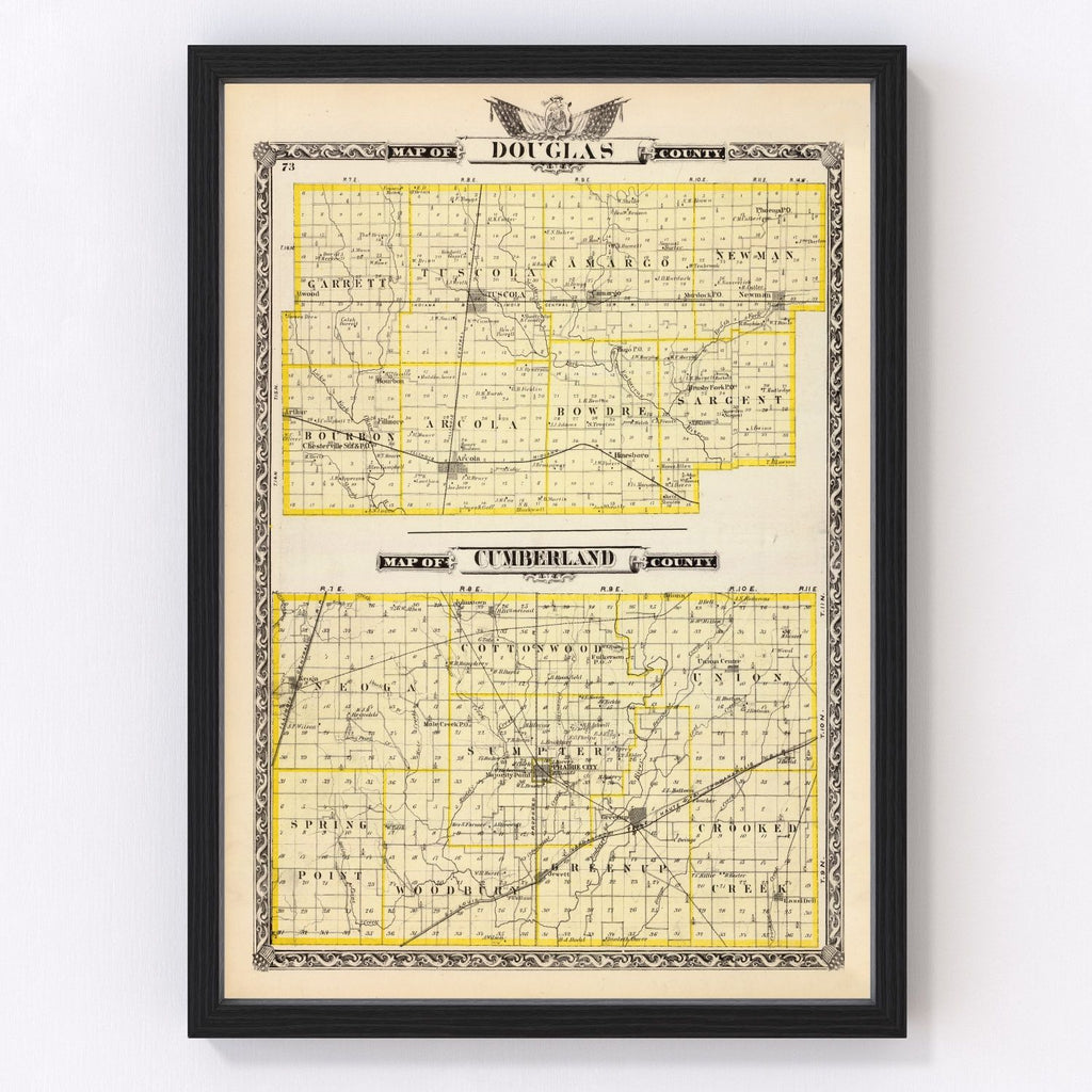 Vintage Map of Douglas County, Illinois 1876