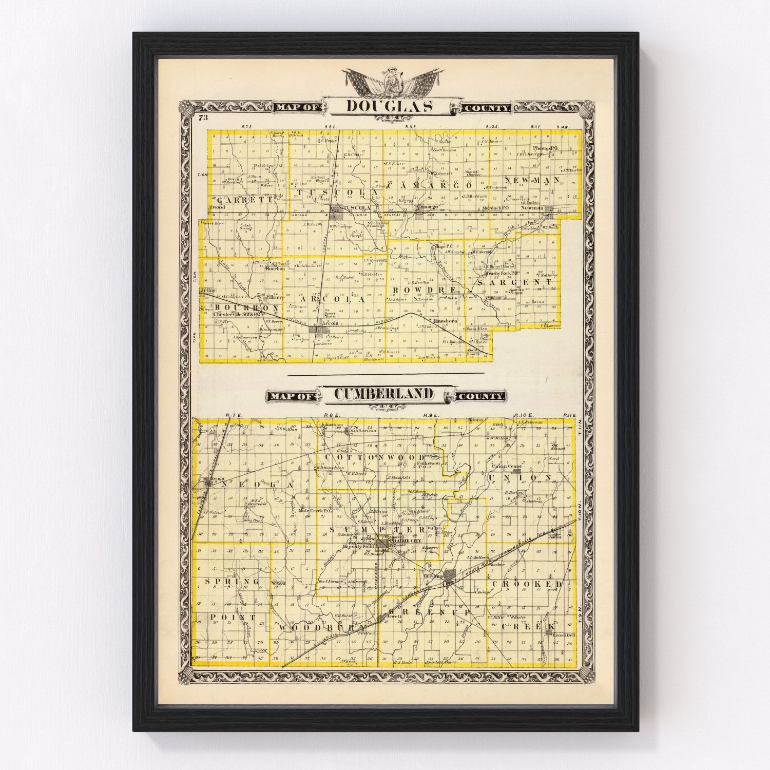 Vintage Map of Douglas County, Illinois 1876