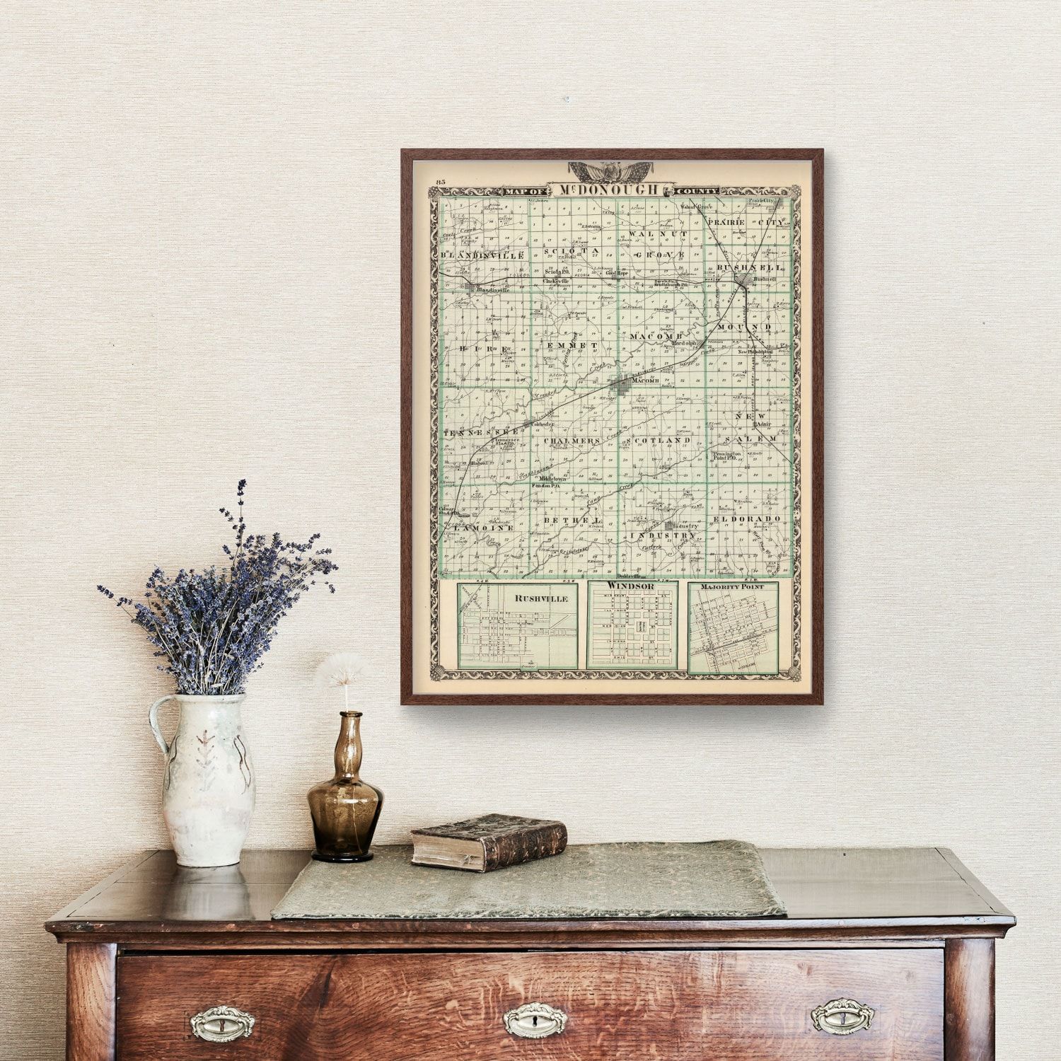 Vintage Map of Mcdonough County, Illinois 1876