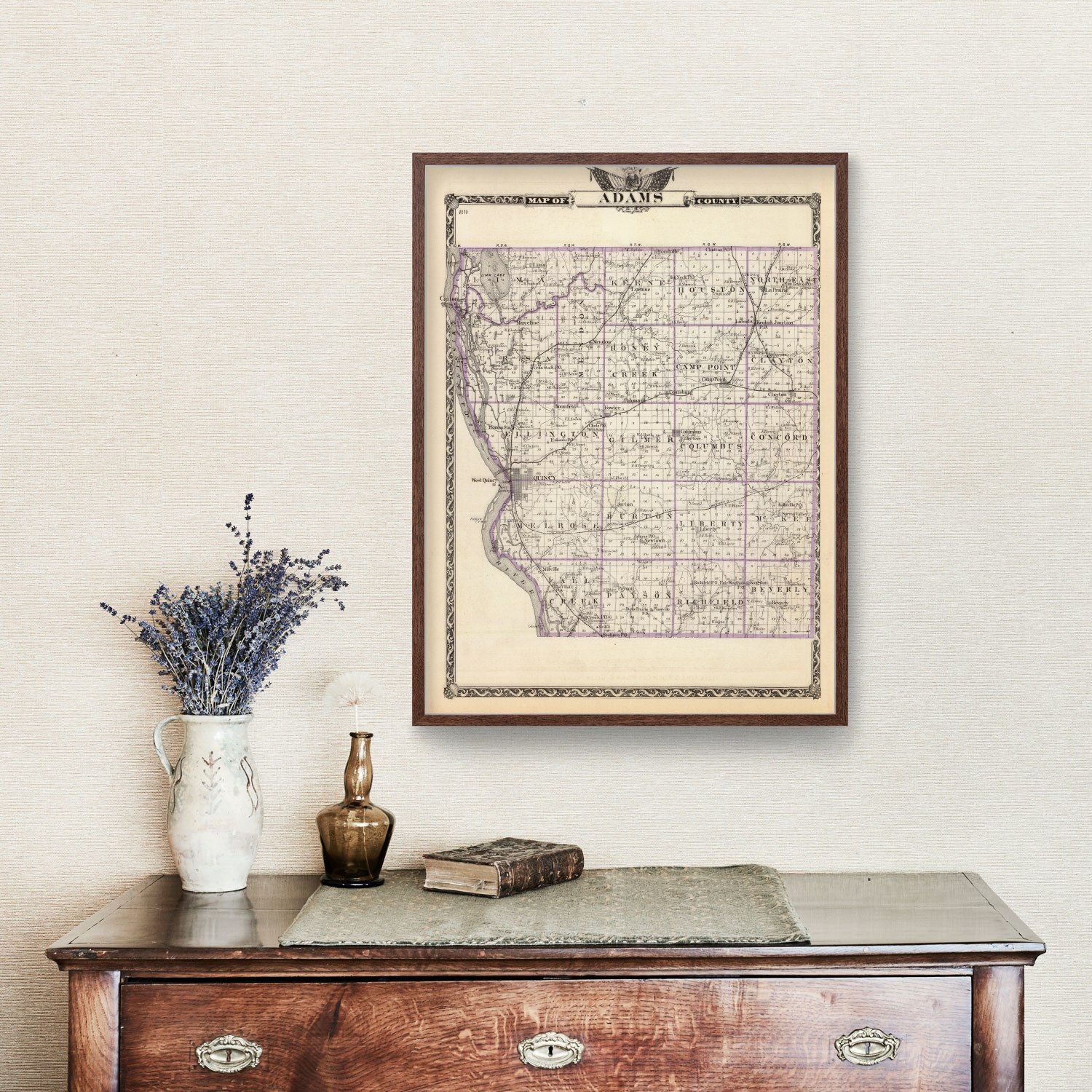 Vintage Map of Adams County, Illinois 1876