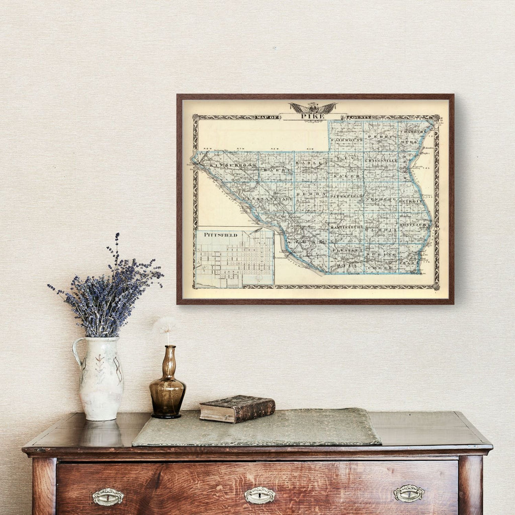 Vintage Map of Pike County, Illinois 1876