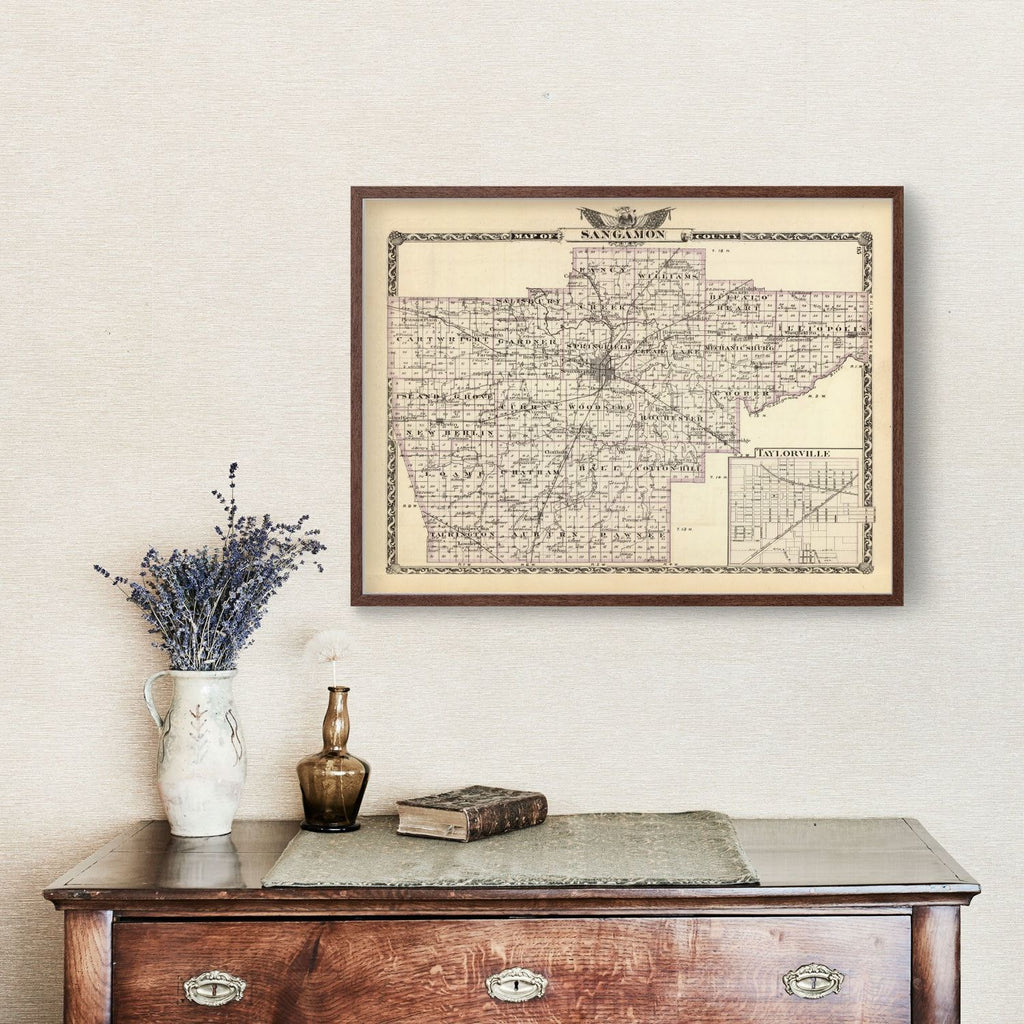 Vintage Map of Sangamon County, Illinois 1876