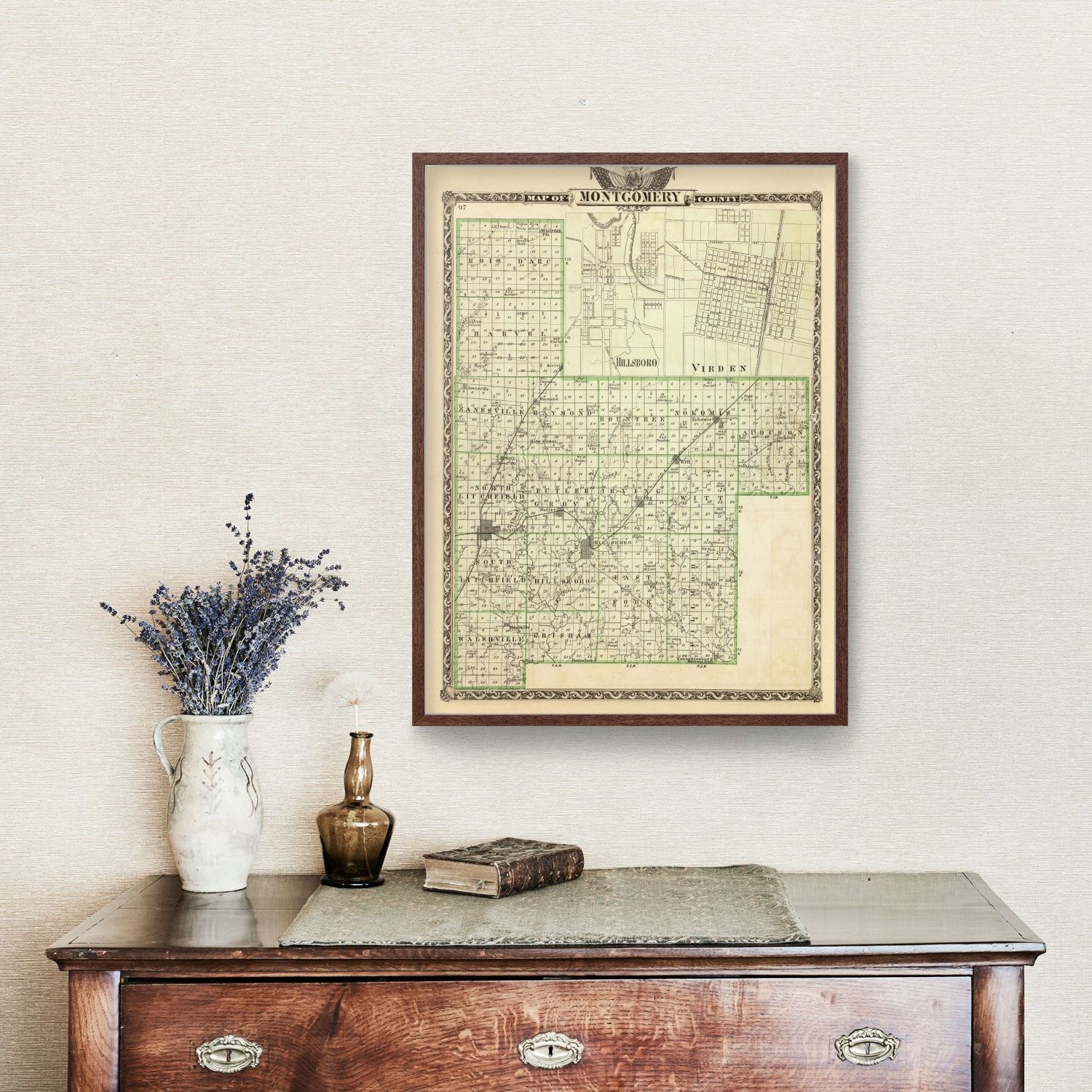 Vintage Map of Montgomery County, Illinois 1876