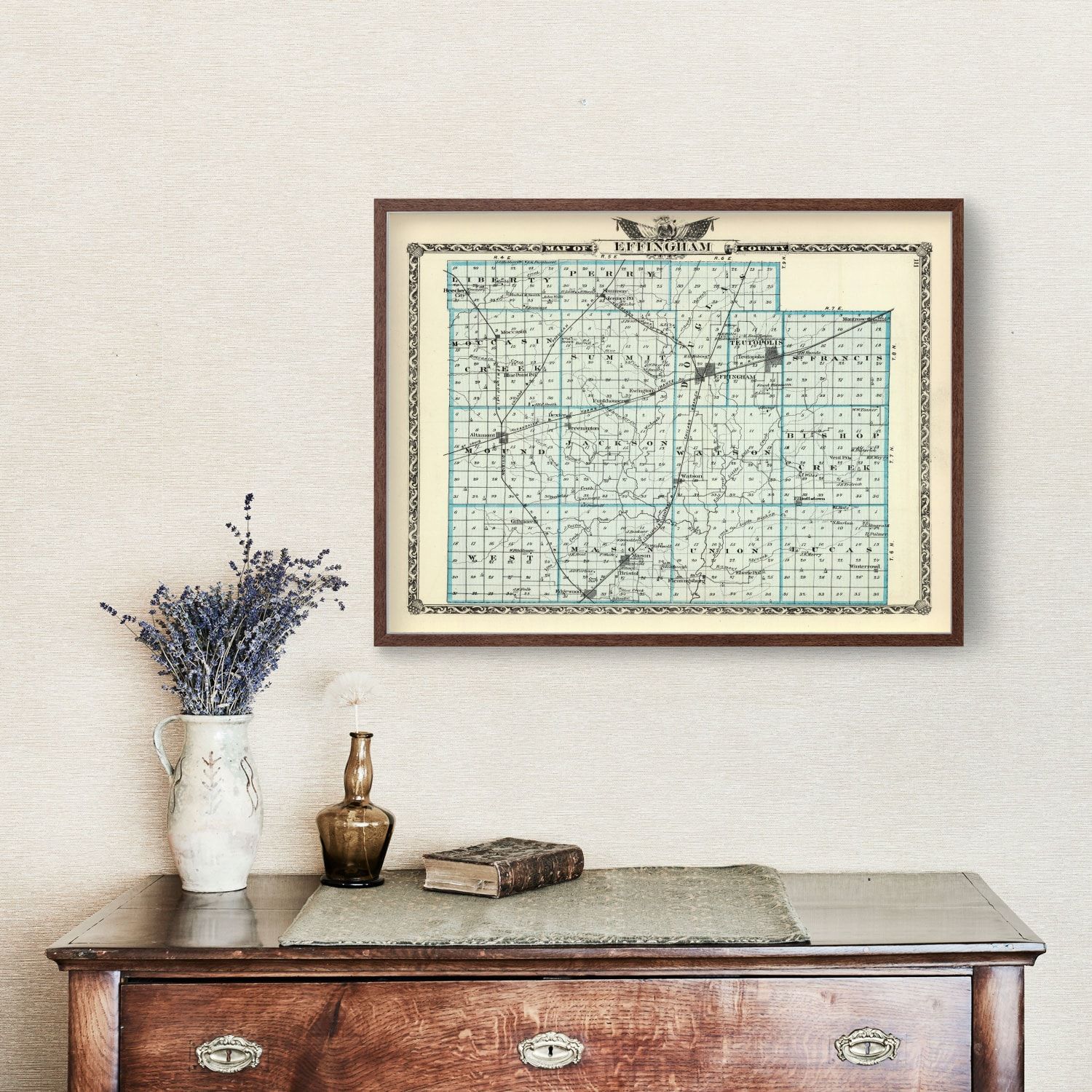 Vintage Map of Effingham County, Illinois 1876