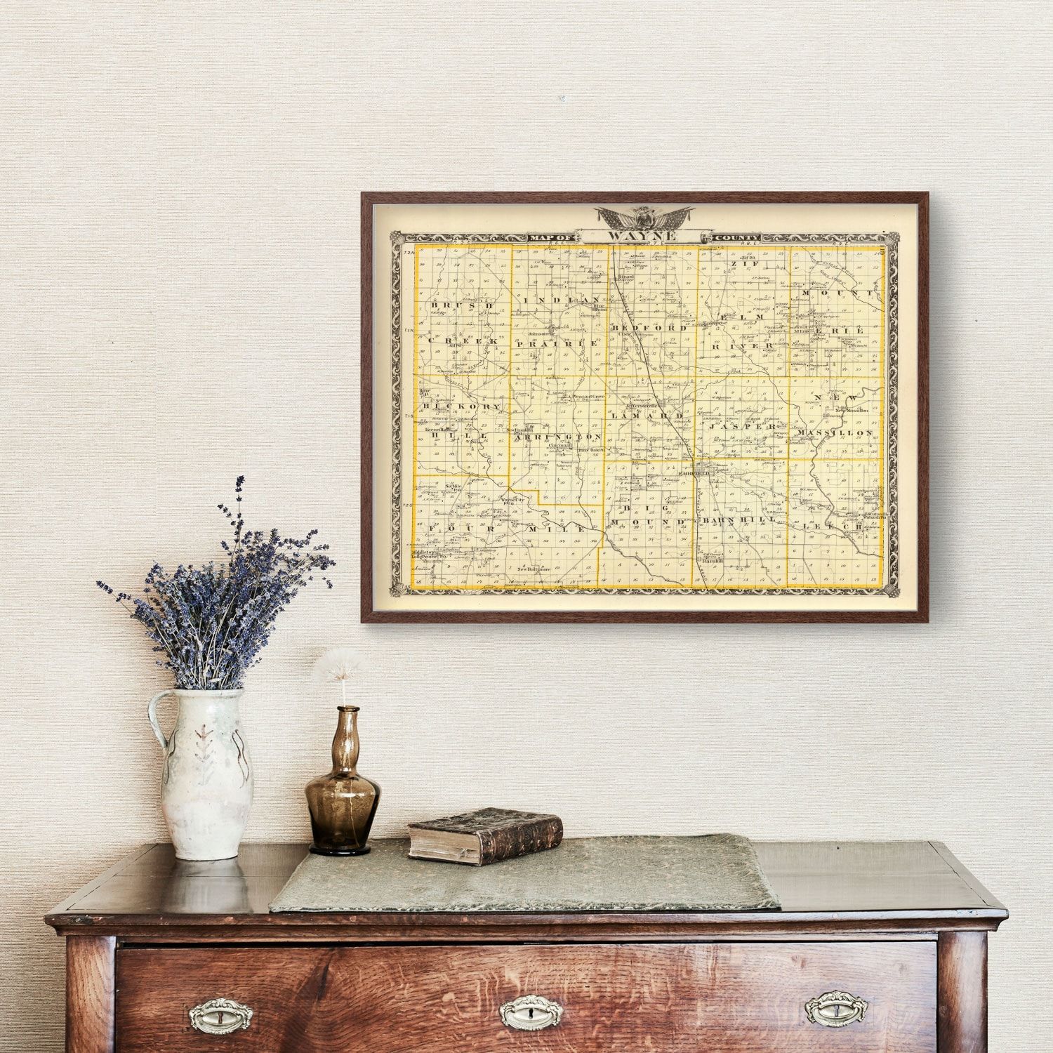 Vintage Map of Wayne County, Illinois 1876