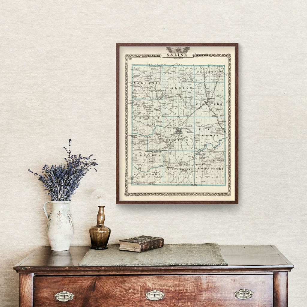 Vintage Map of Saline County, Illinois 1876