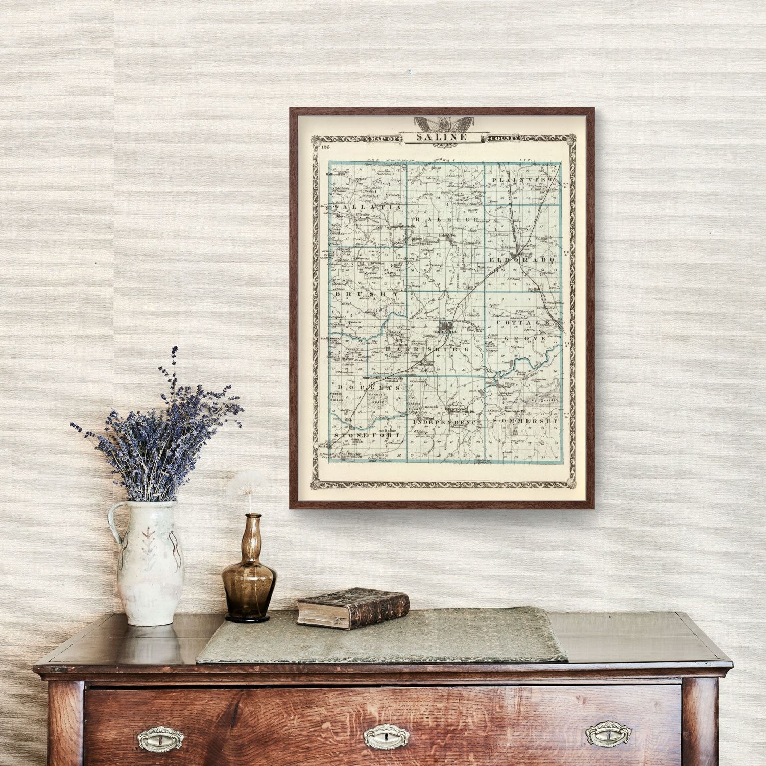 Vintage Map of Saline County, Illinois 1876