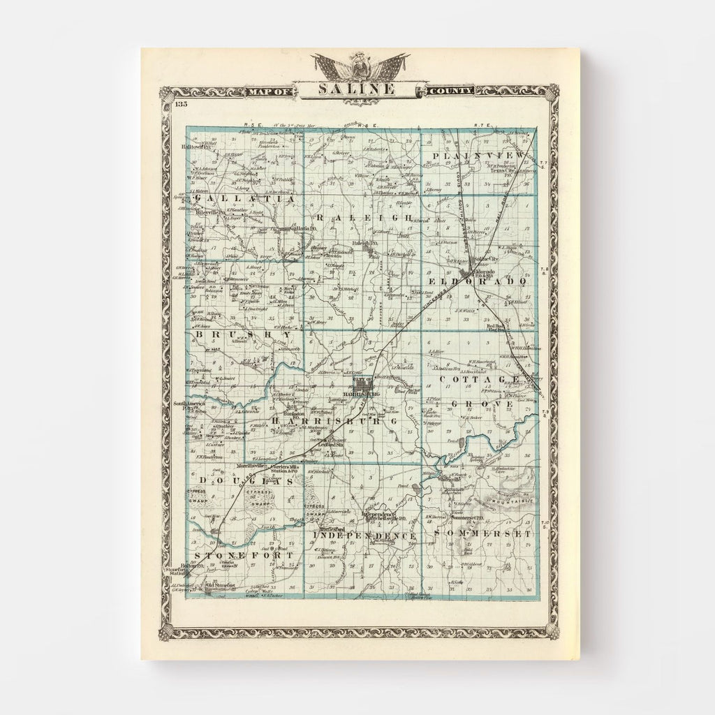 Vintage Map of Saline County, Illinois 1876