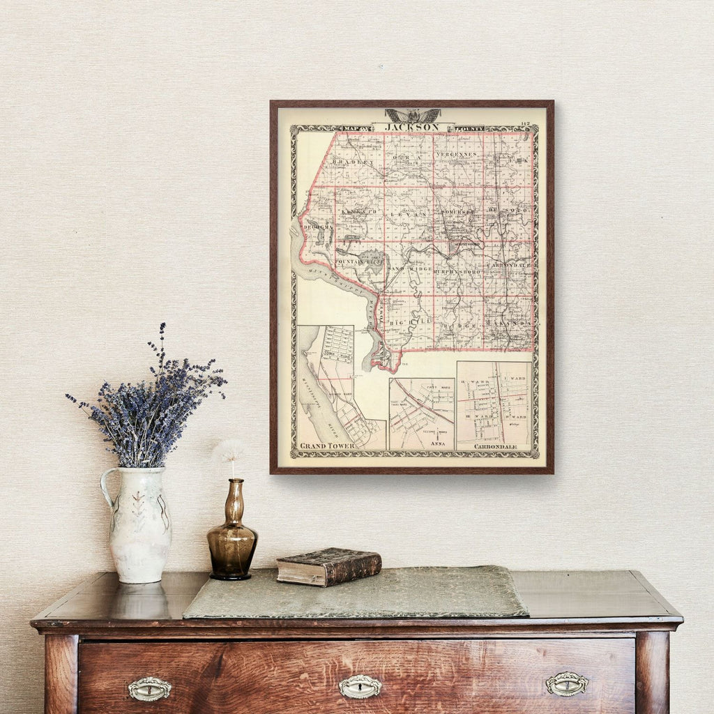 Vintage Map of Jackson County, Illinois 1876