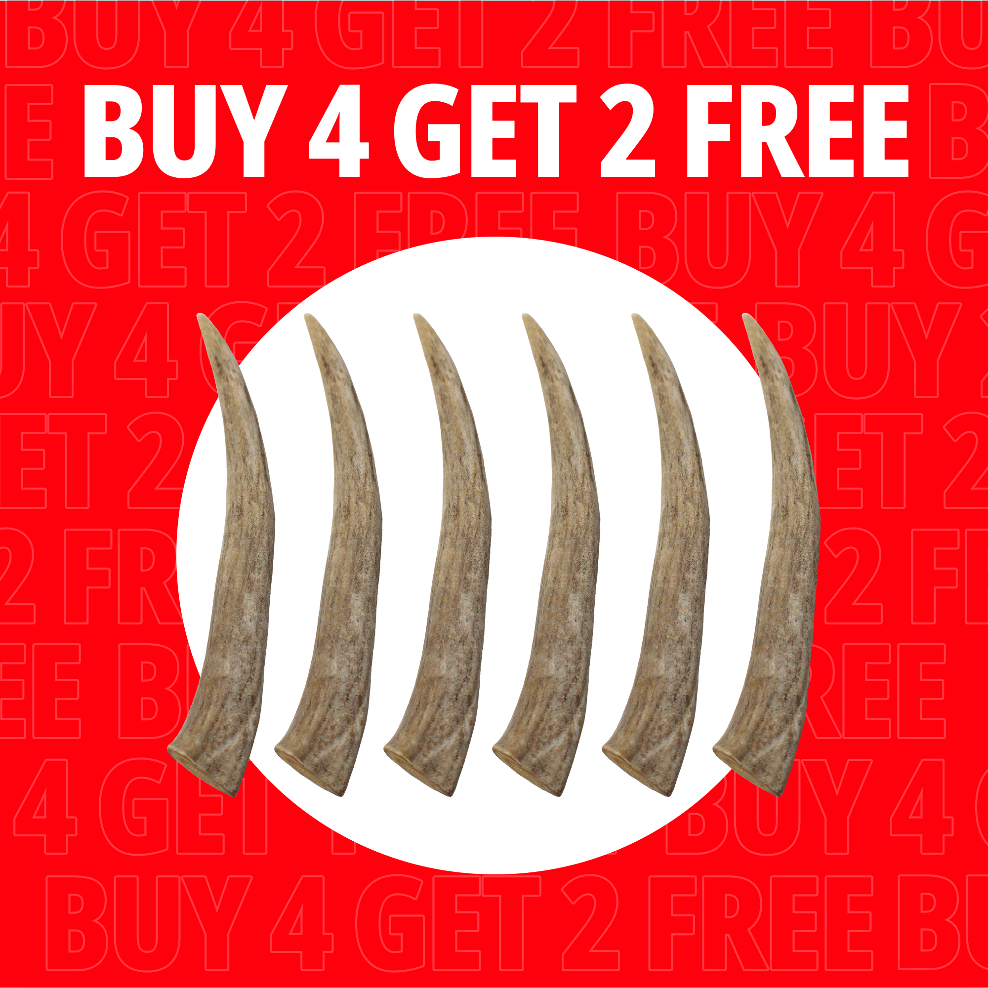 Large Antlers