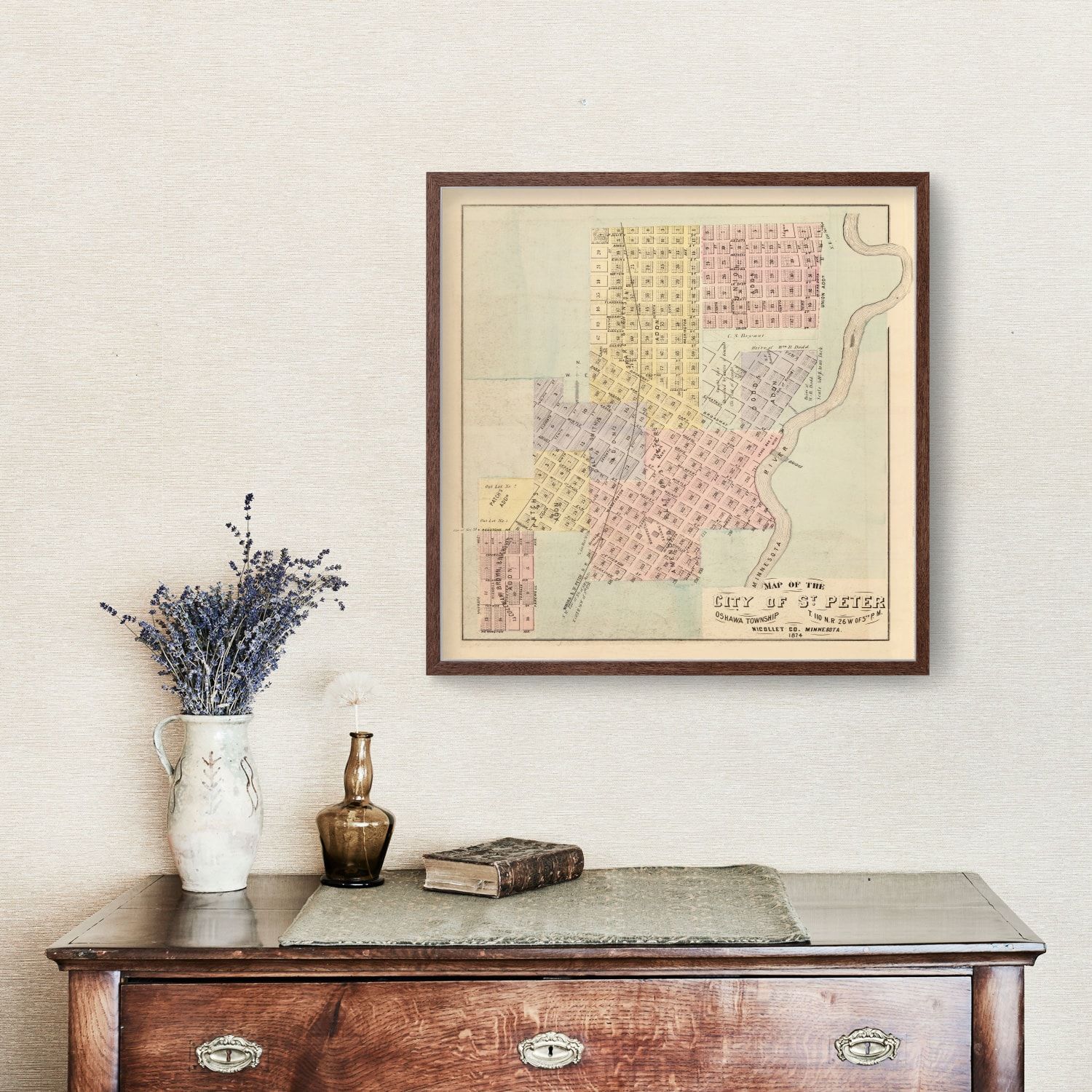 Vintage Map of Saint Peter, Minnesota 1874