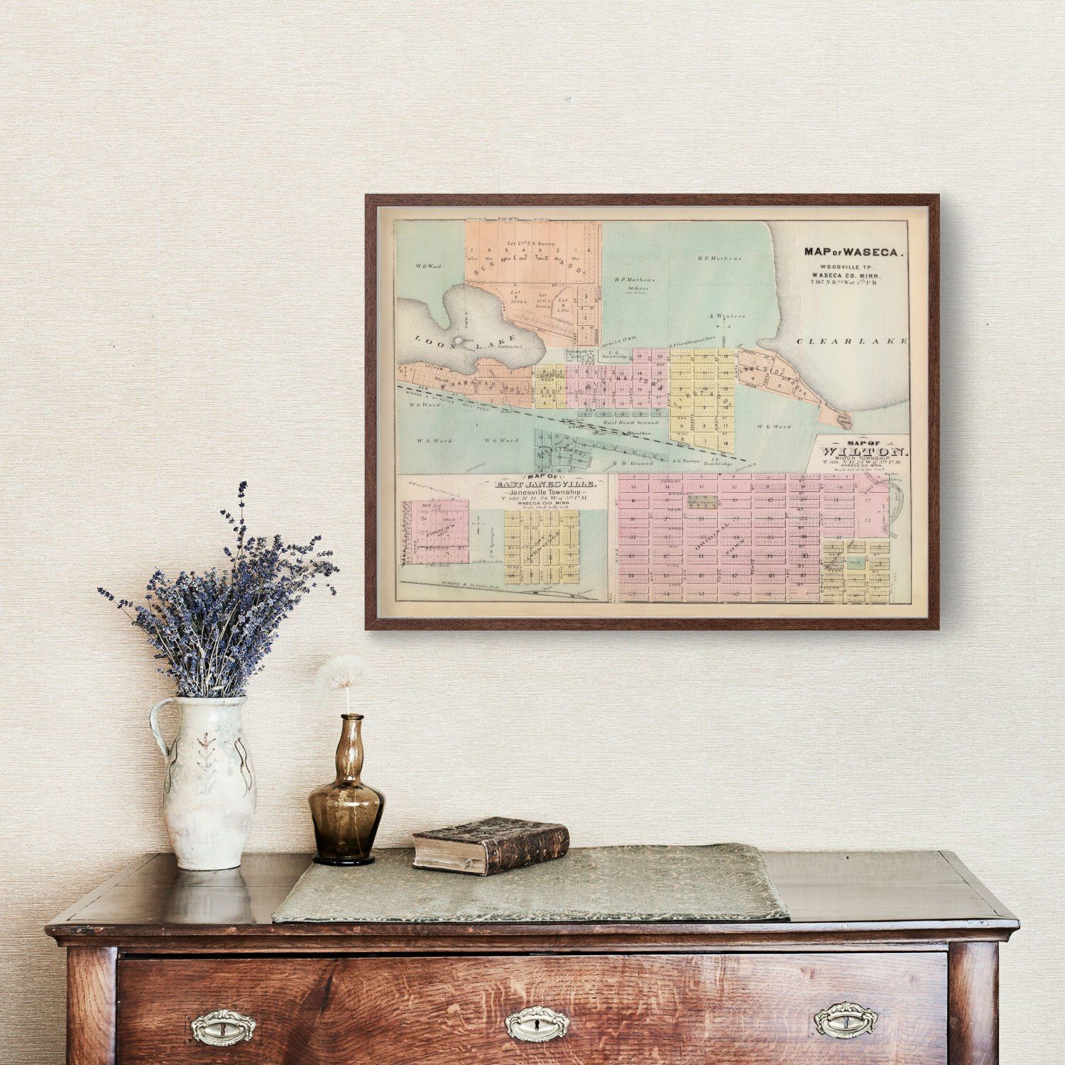 Vintage Map of Janesville, Minnesota 1874