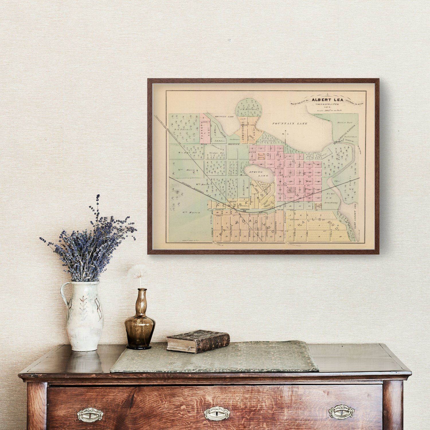 Vintage Map of Albert Lea, Minnesota 1874
