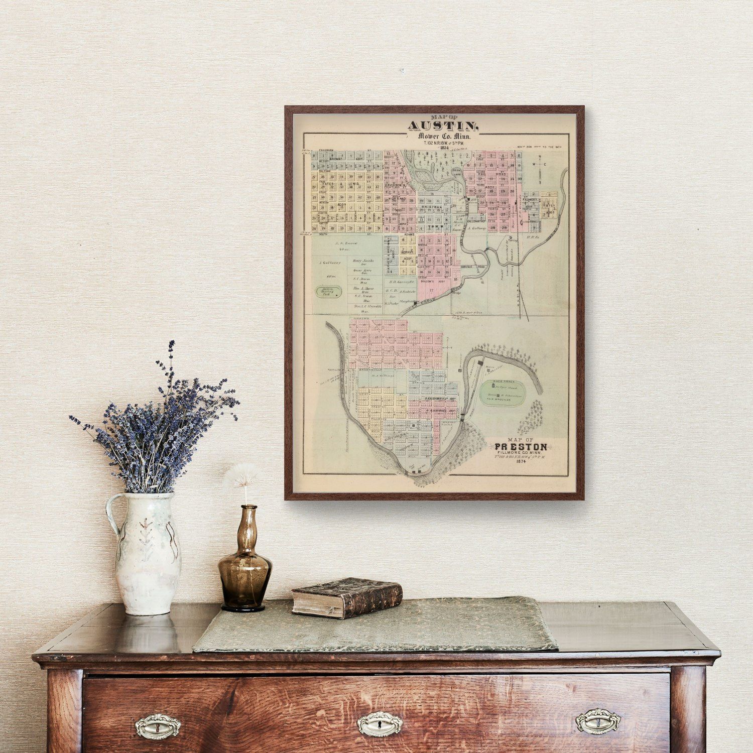 Vintage Map of Austin, Minnesota 1874