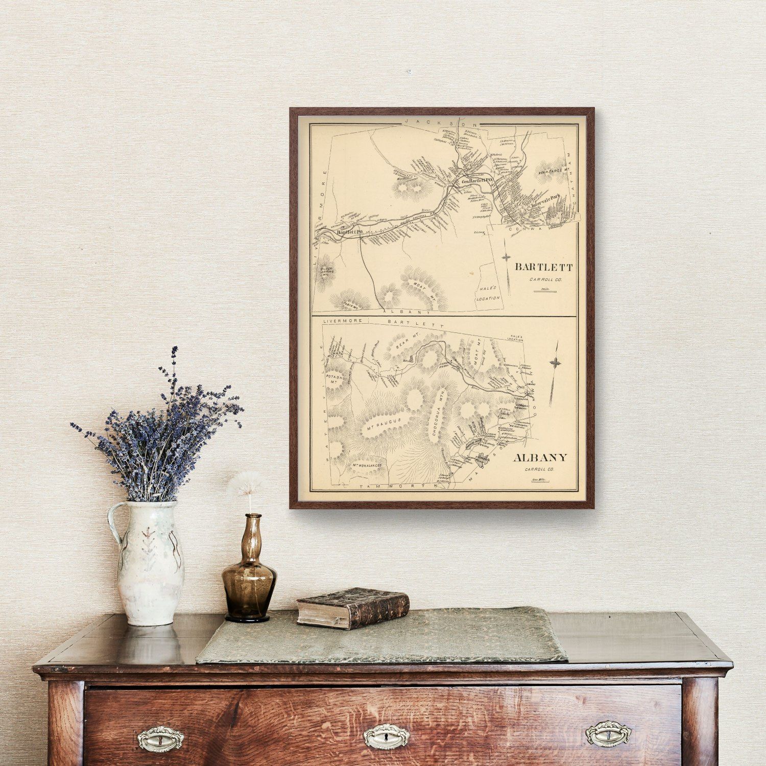 Vintage Map of Albany, New Hampshire 1892