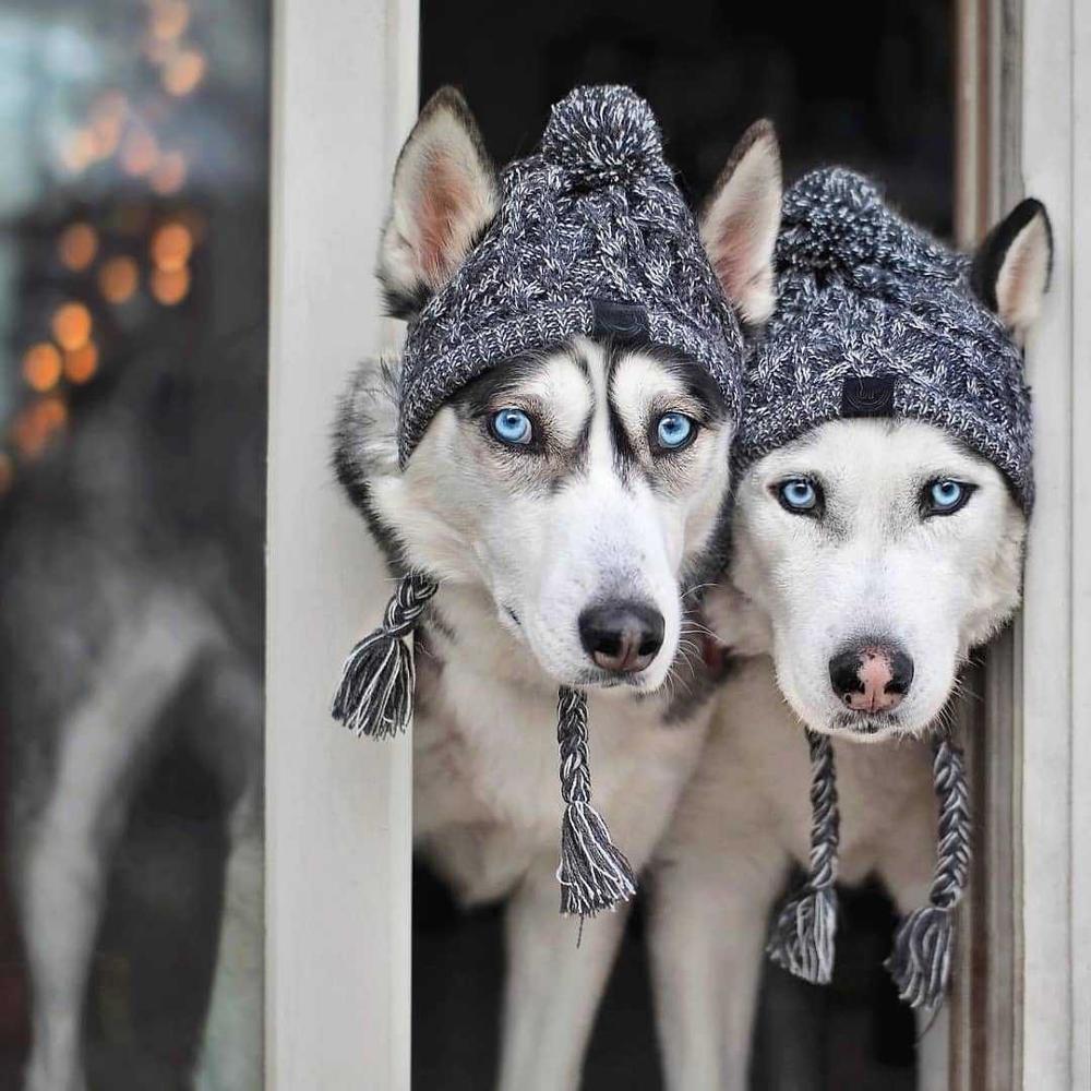 Autumn Winter Warm Knitted Pet Hats With Fluffy Ball