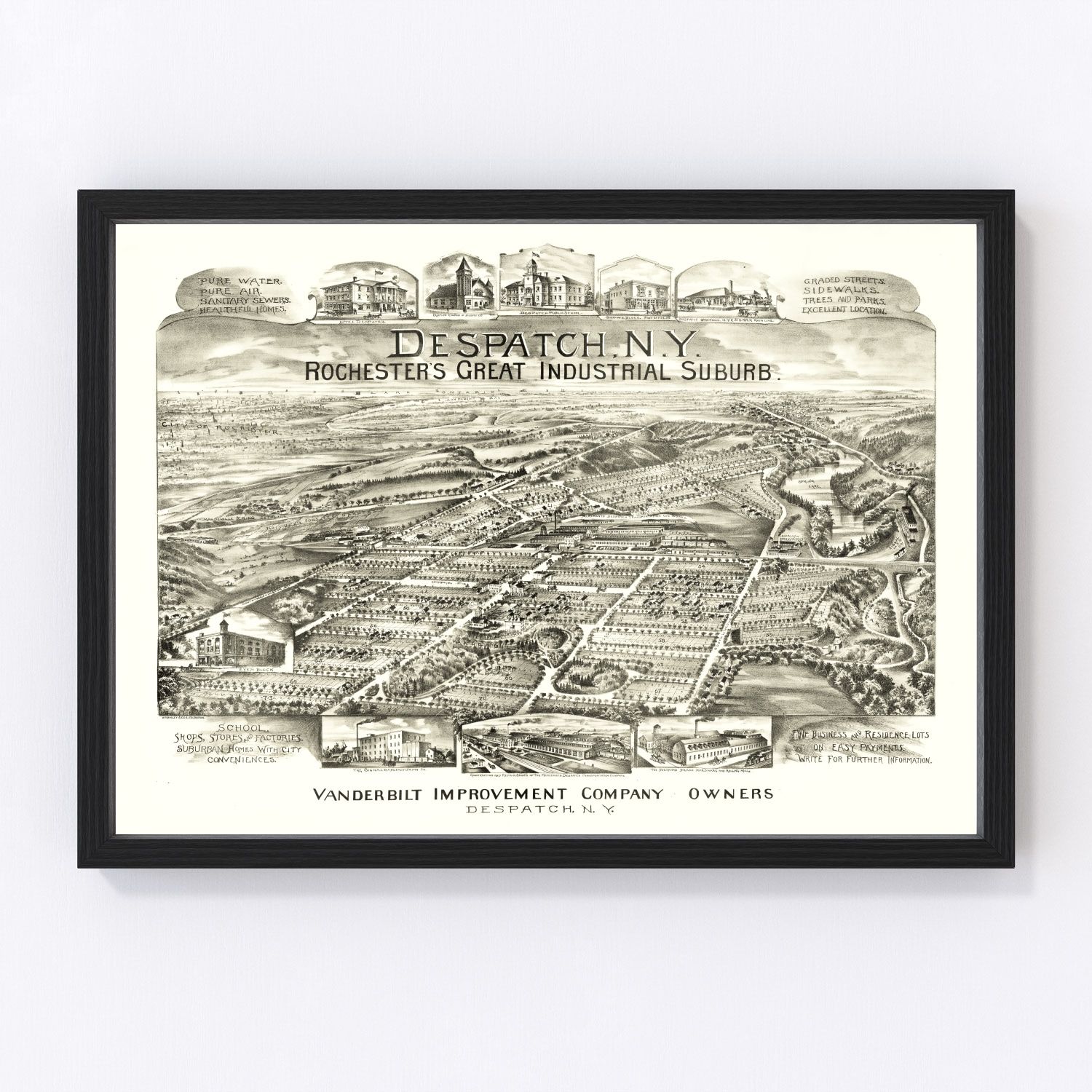 Vintage Map of Despatch, New York 1890