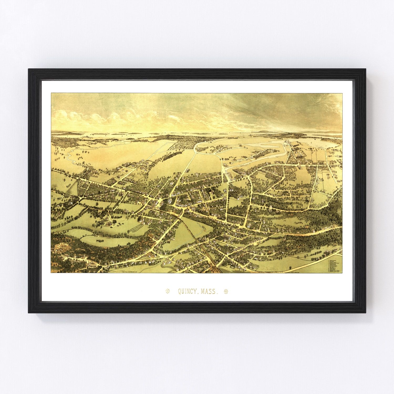 Vintage Map of Quincy, Massachusetts 1878