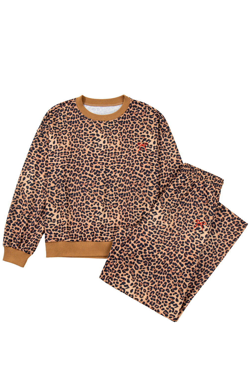 Leopard Bow Embroidered Pullover and Pants Set
