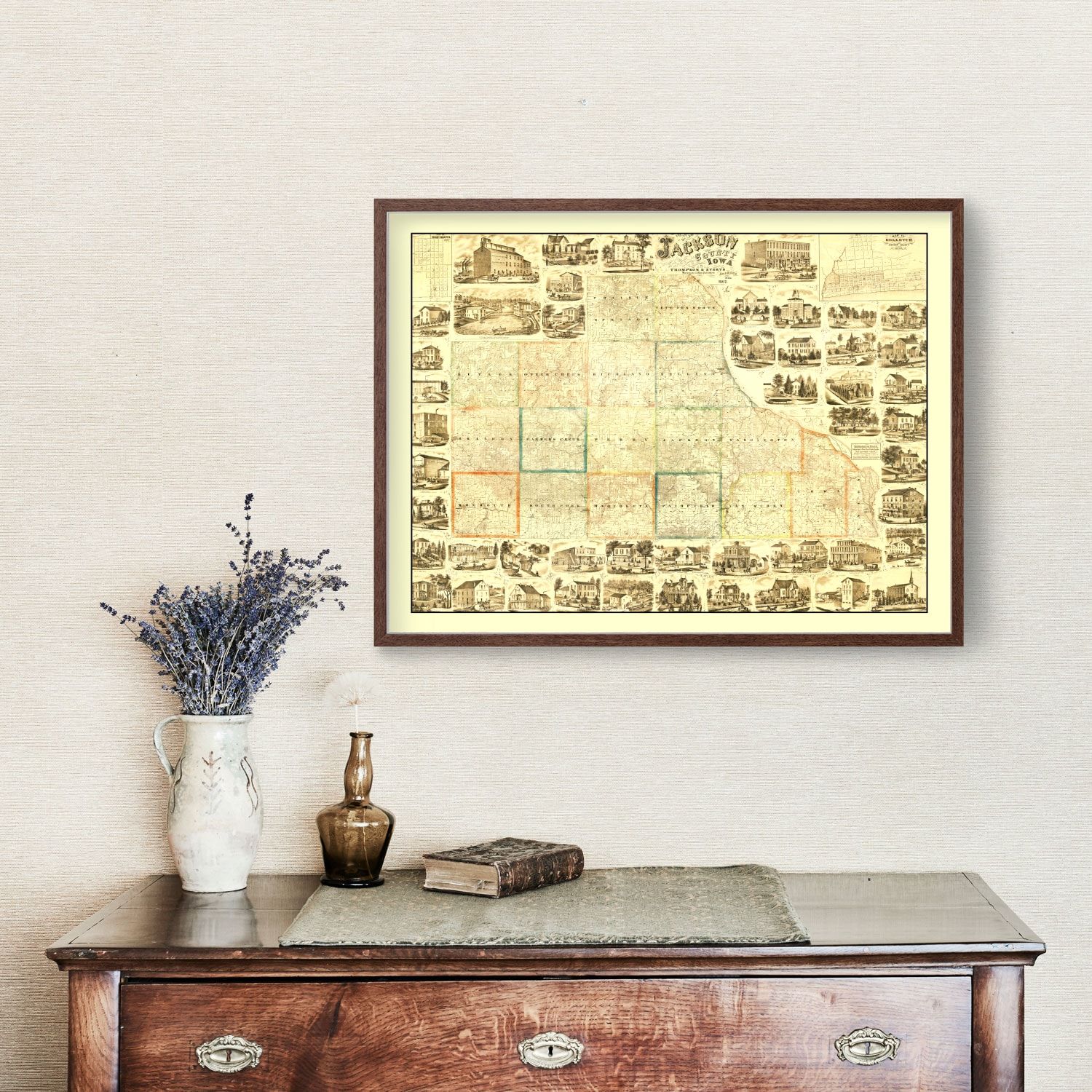 Vintage Map of Jackson County, Iowa 1867