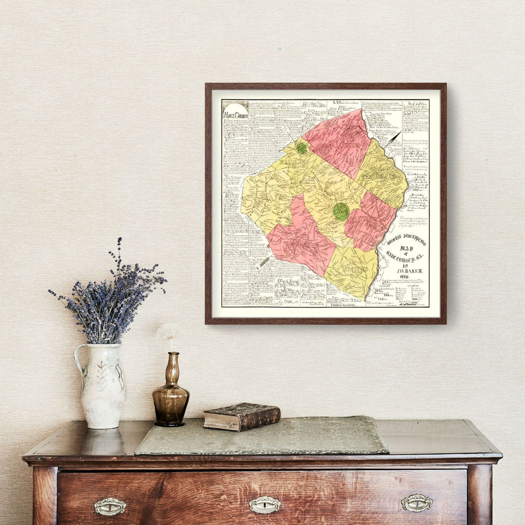 Vintage Map of Hart County, Georgia 1889