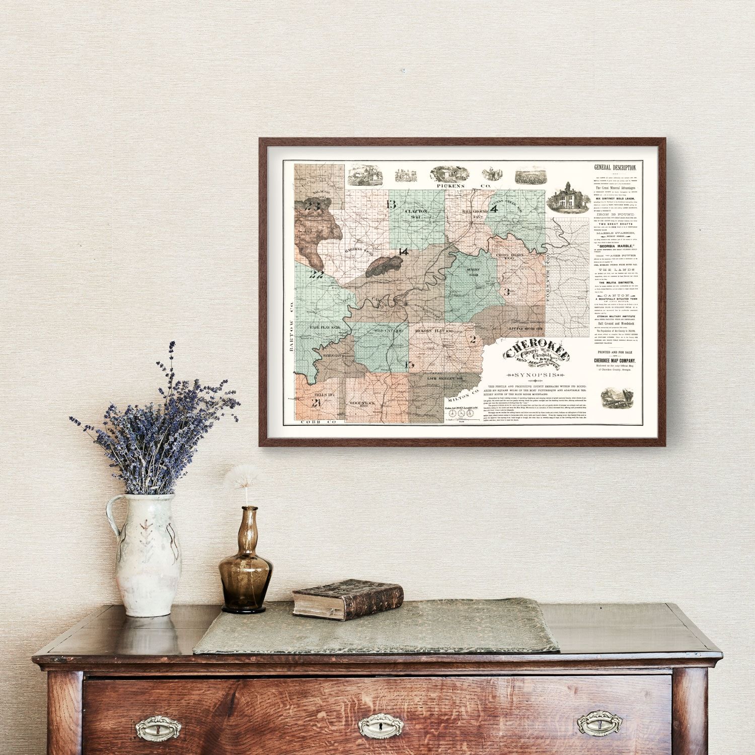 Vintage Map of Cherokee County, Georgia 1895