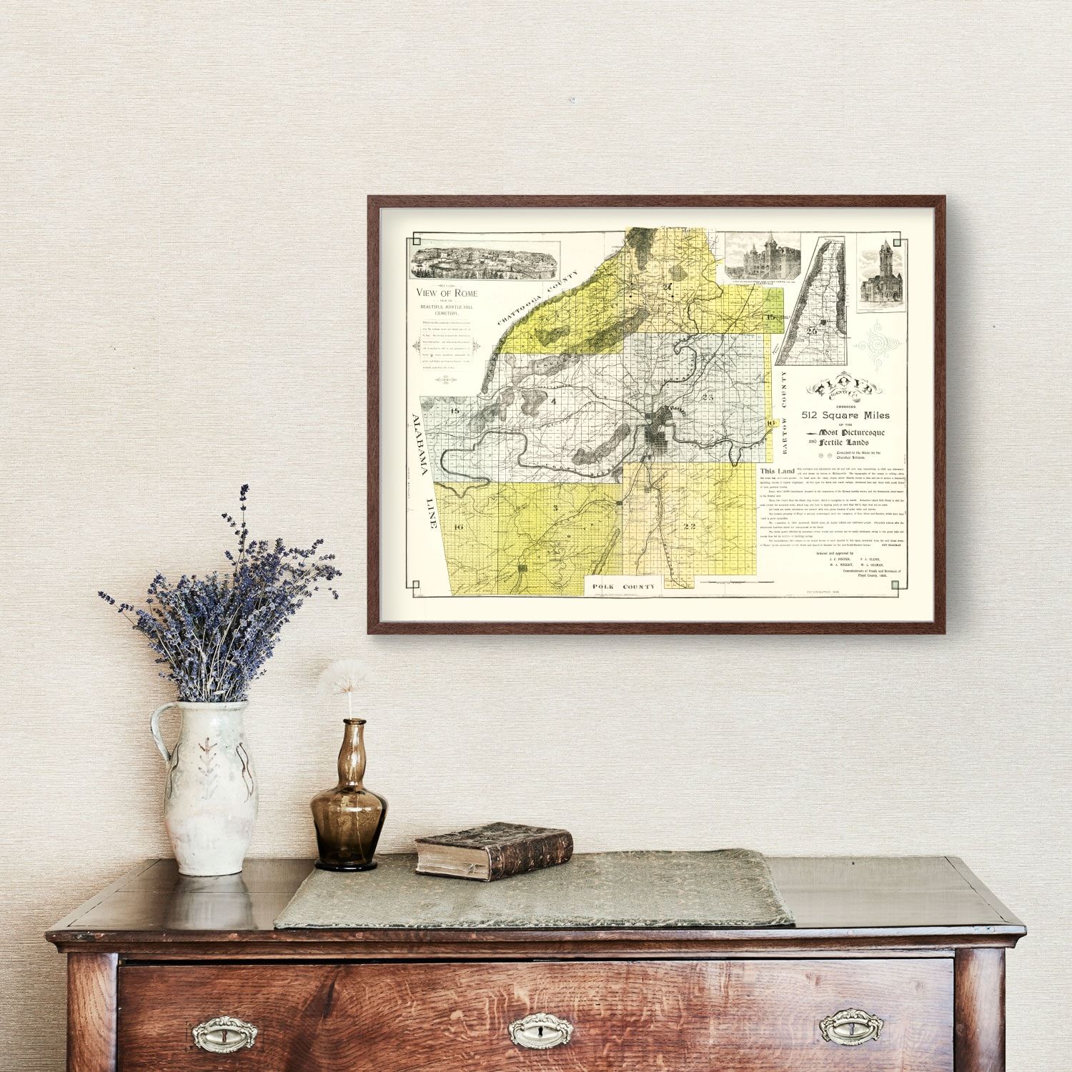 Vintage Map of Floyd County, Georgia 1895