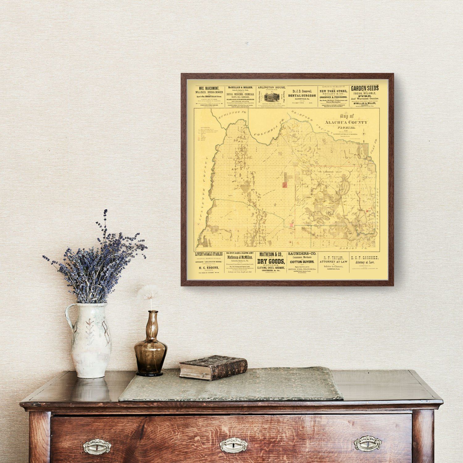 Vintage Map of Alachua County, Florida 1880