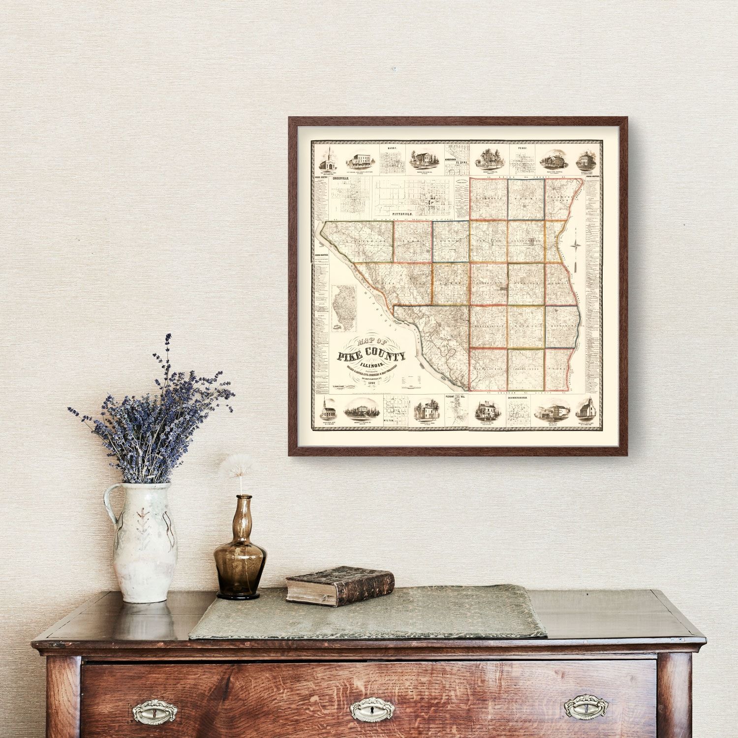 Vintage Map of Pike County, Illinois 1860