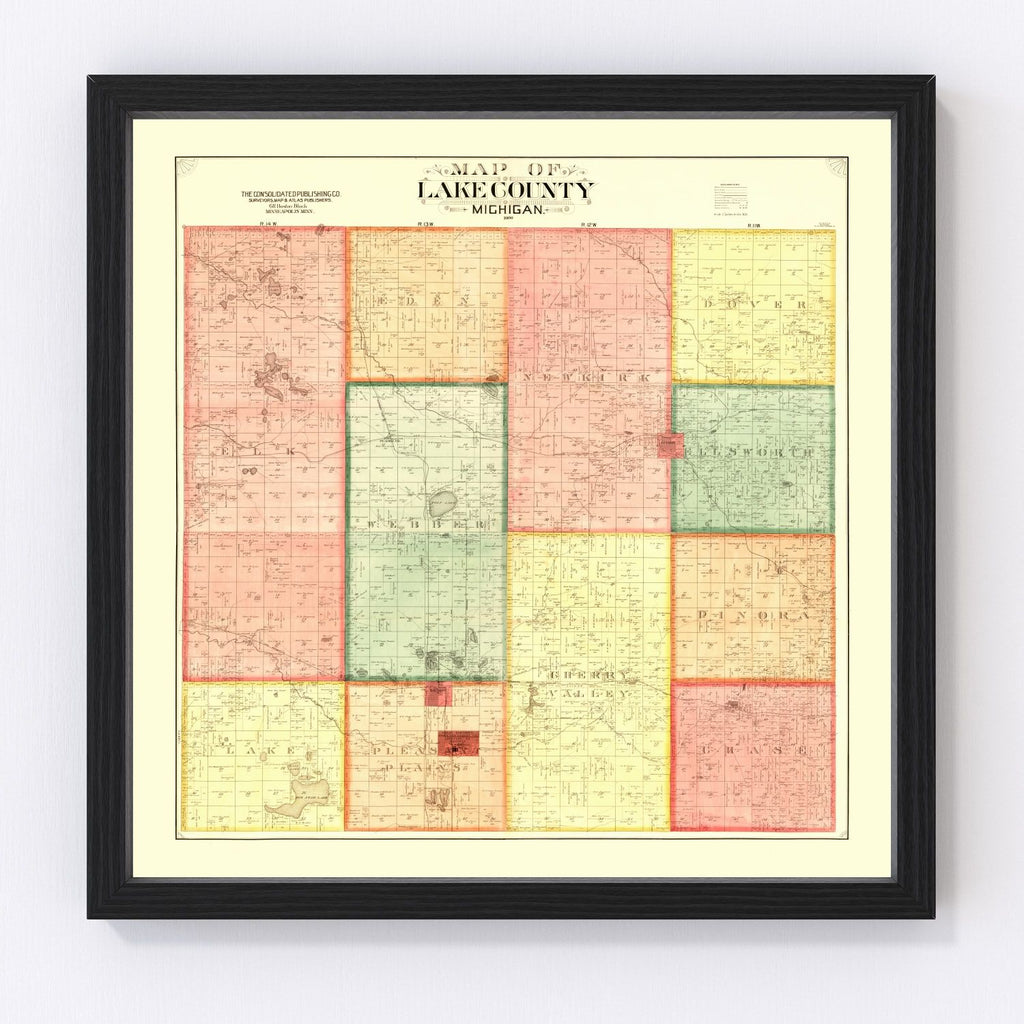 Vintage Map of Lame County, Michigan 1900
