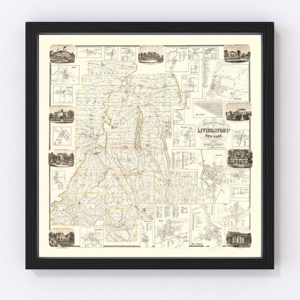 Vintage Map of Livingston County, New York 1858