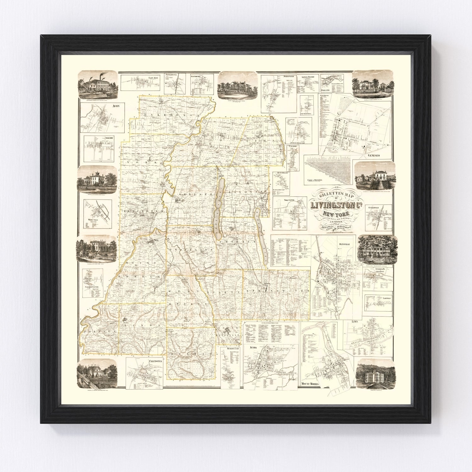 Vintage Map of Livingston County, New York 1858