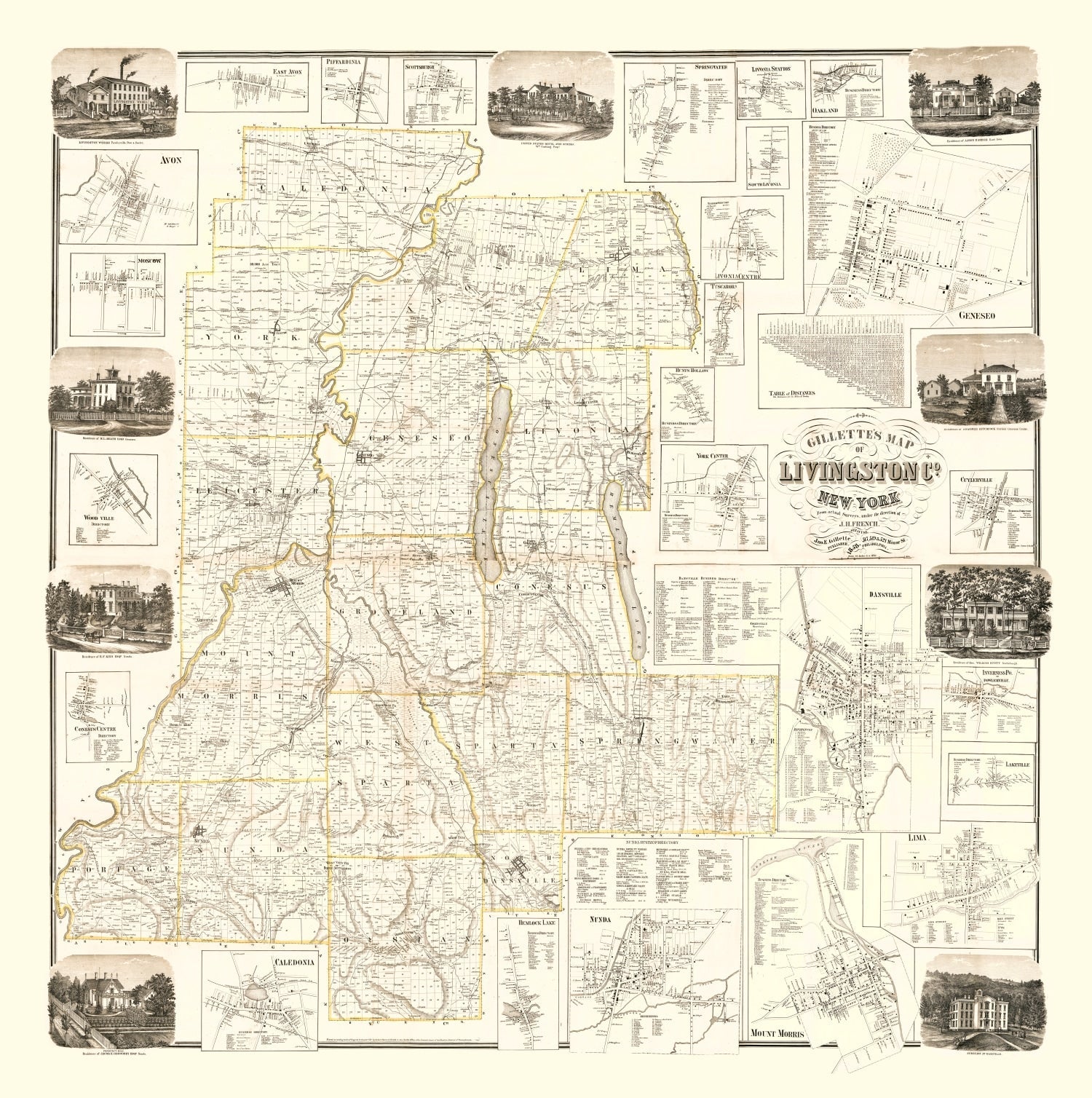 Vintage Map of Livingston County, New York 1858