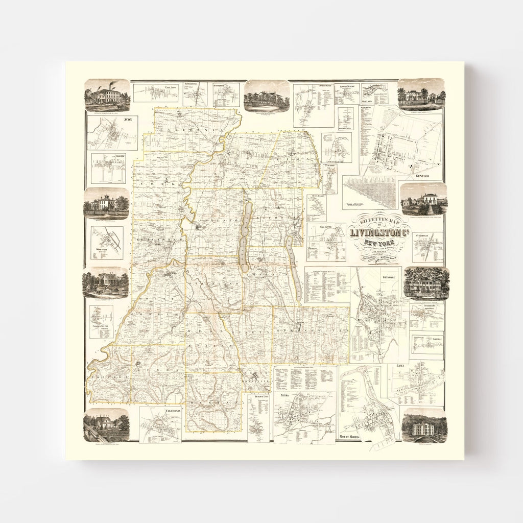 Vintage Map of Livingston County, New York 1858