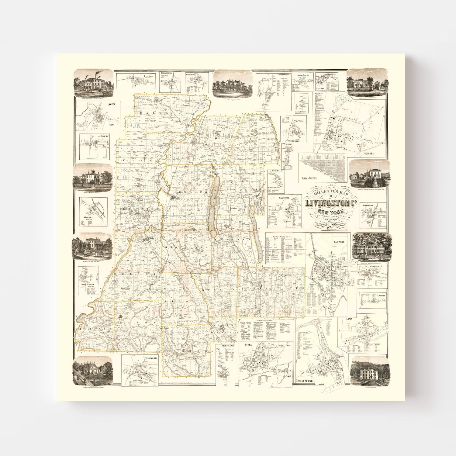 Vintage Map of Livingston County, New York 1858