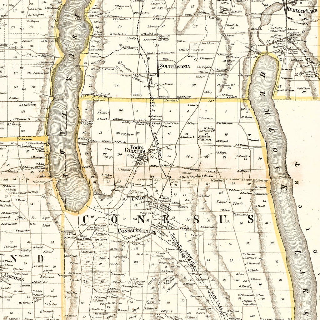 Vintage Map of Livingston County, New York 1858