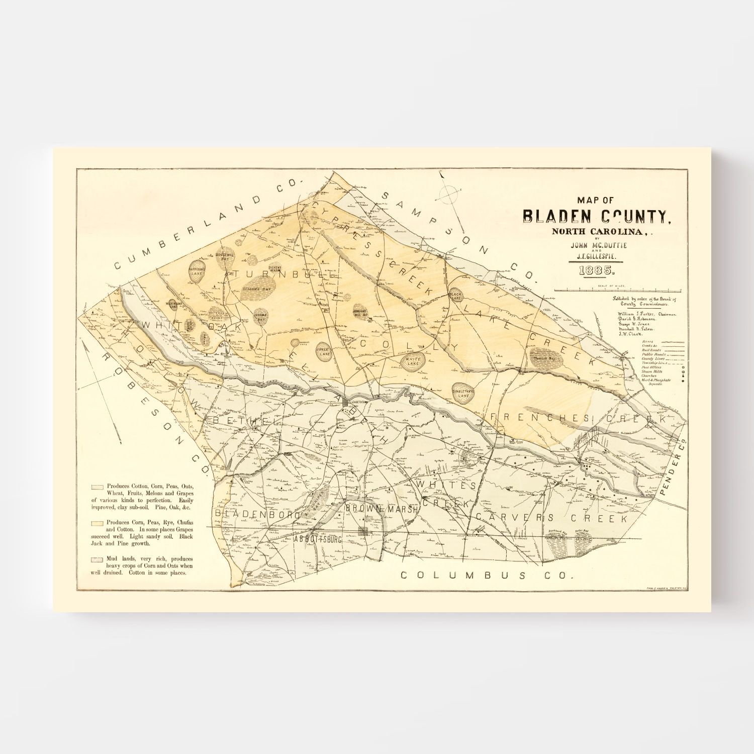 Vintage Map of Bladen County, North Carolina 1885