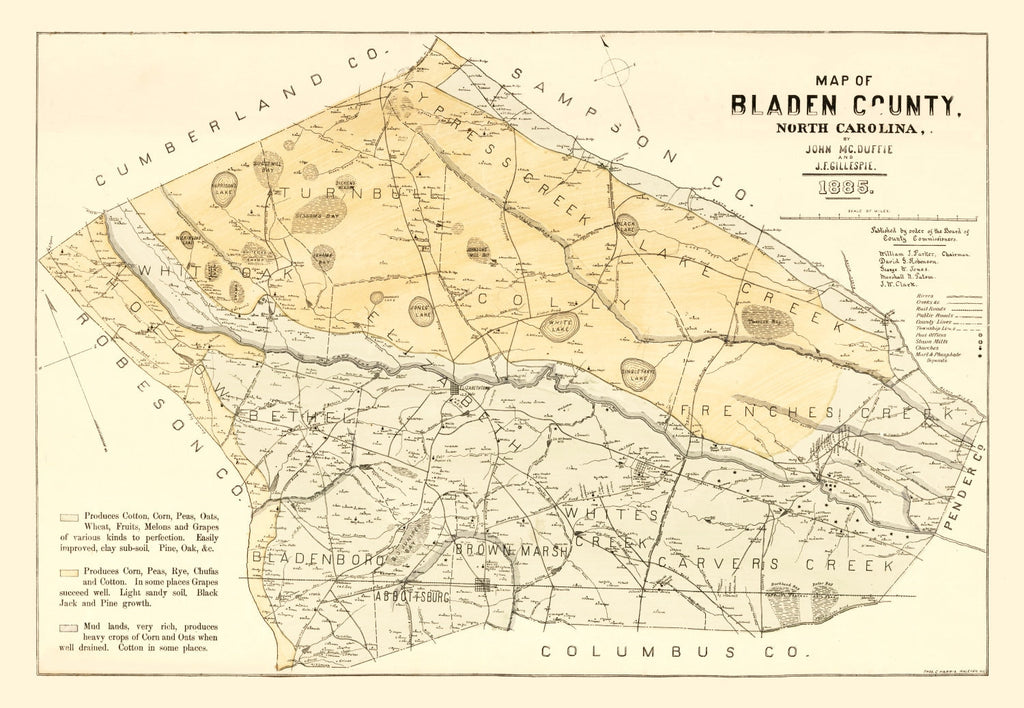 Vintage Map of Bladen County, North Carolina 1885