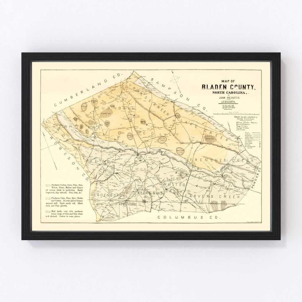Vintage Map of Bladen County, North Carolina 1885