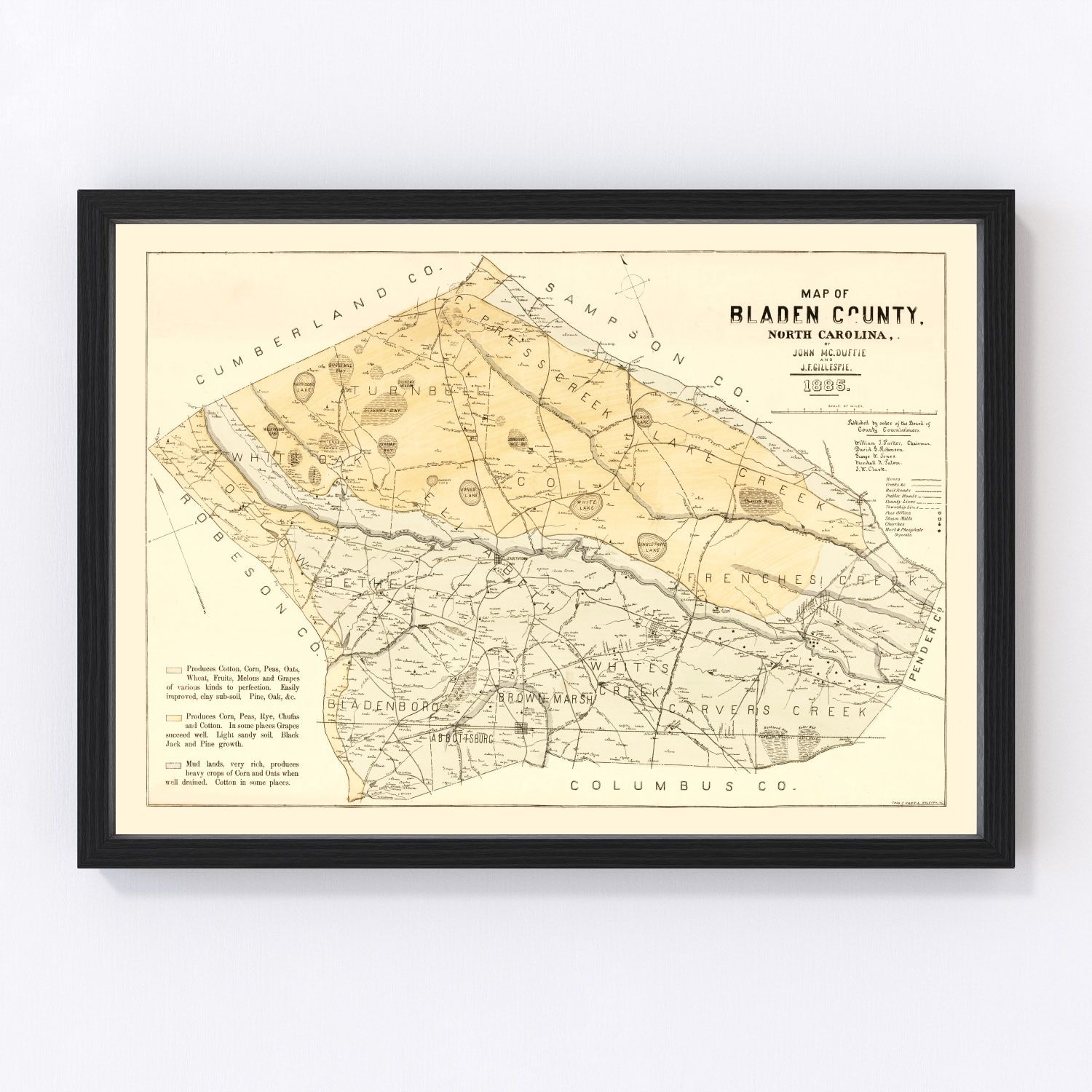 Vintage Map of Bladen County, North Carolina 1885