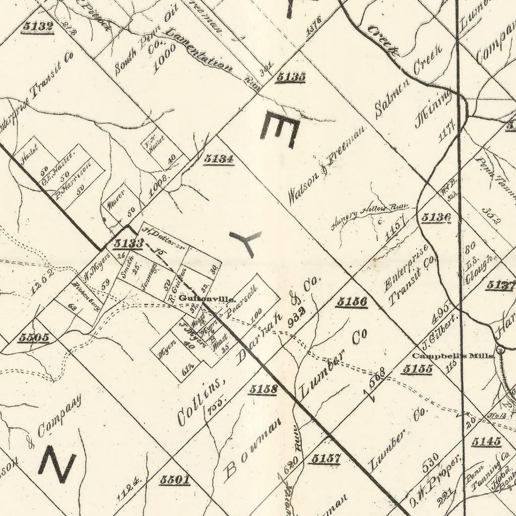 Vintage Map of Forest County, Pennsylvania 1895